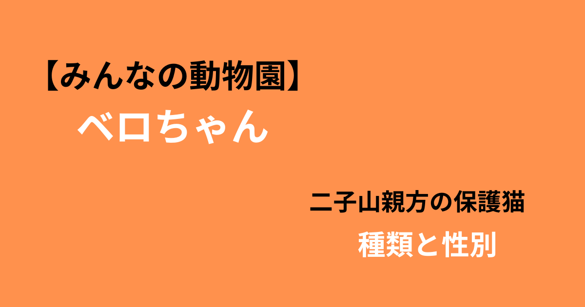 保護猫ベロちゃんの種類と性別