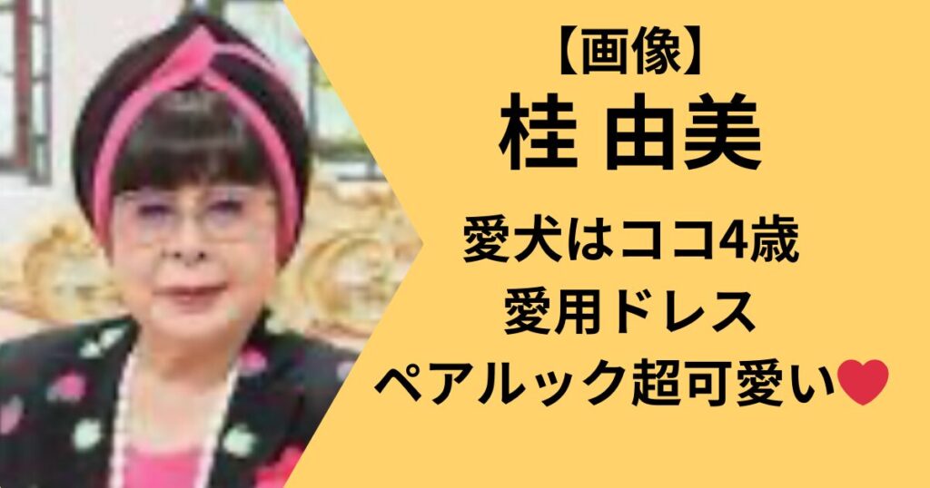 桂由美の愛犬と犬用ドレスについて